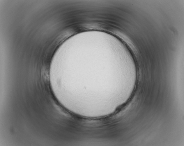 X0000114221241200911061500