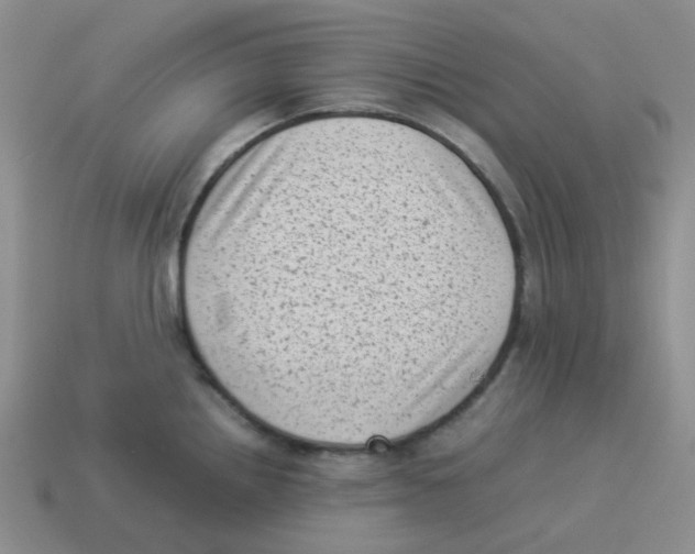 X0000114221242200911061500