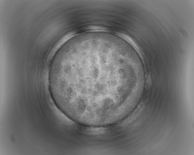 X0000114221243200911061500