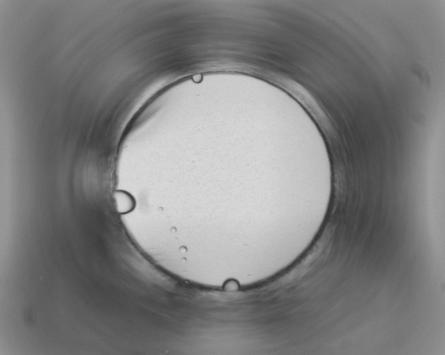 X0000114221244200911061500