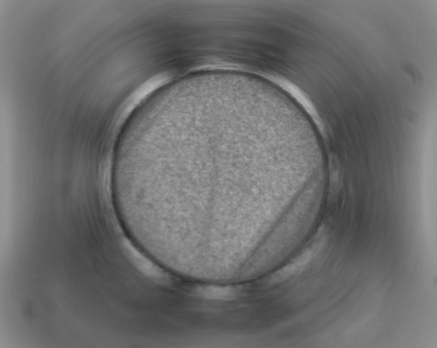 X0000114221245200911061500