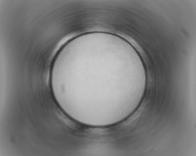 X0000114221246200911061500