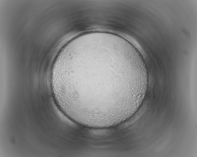 X0000114221247200911061500