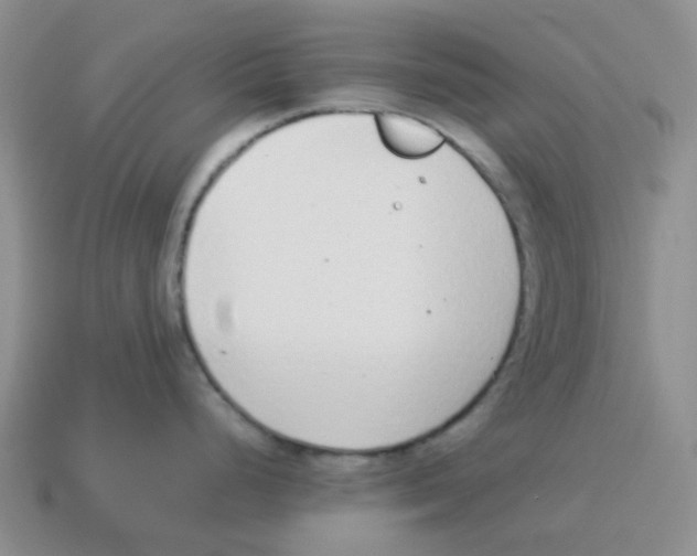 X0000114221248200911061500