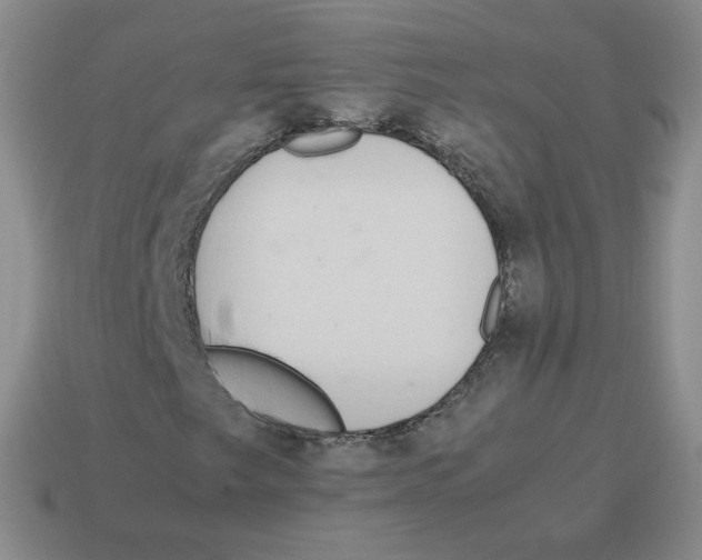 X0000114221249200911061459