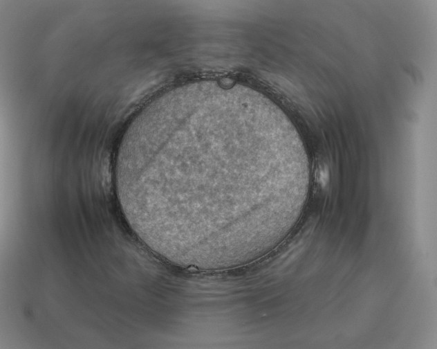 X0000114221252200911061459