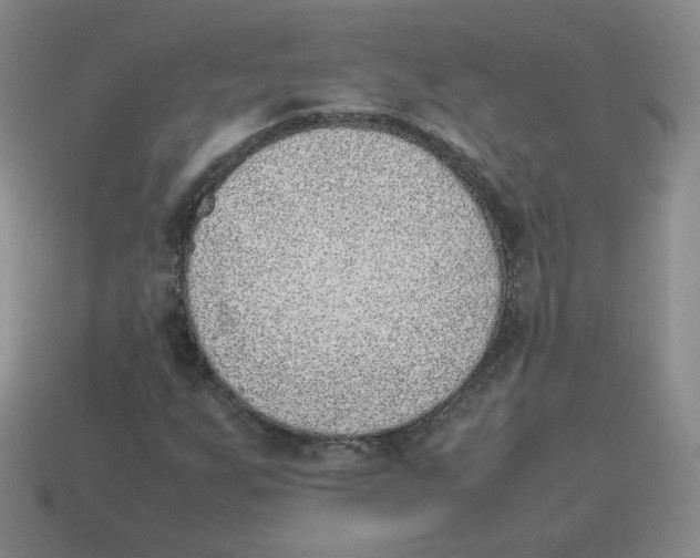 X0000114221255200911061459