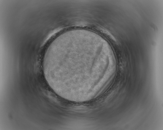 X0000114221256200911061459