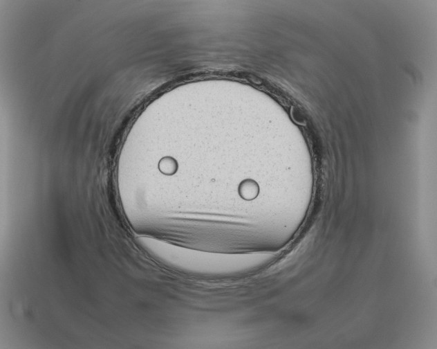 X0000114221257200911061459