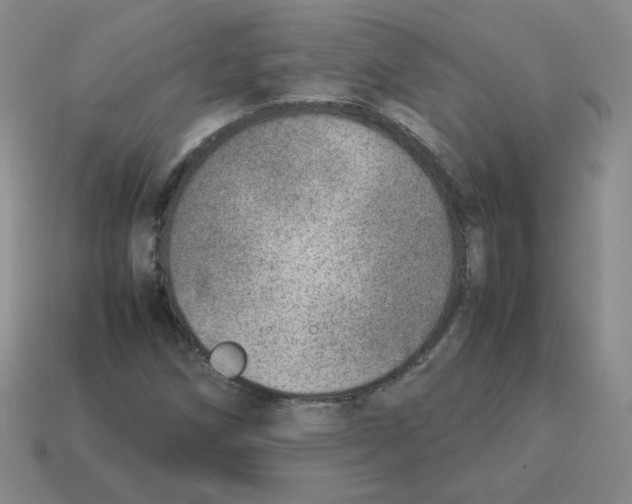 X0000114221258200911061459