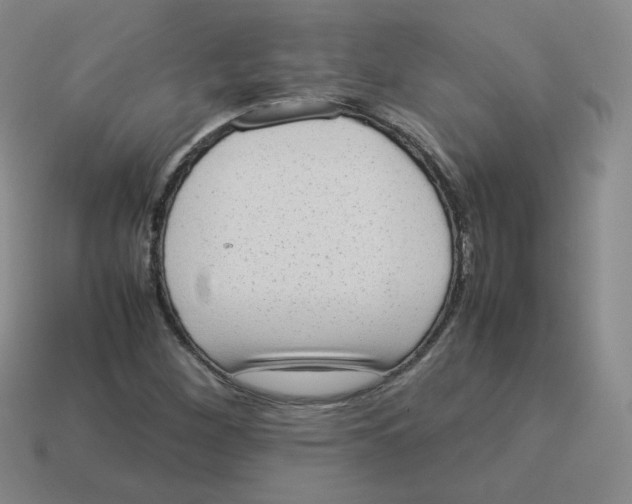 X0000114221260200911061459