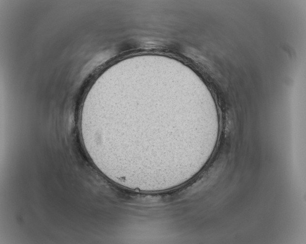 X0000114221261200911061459