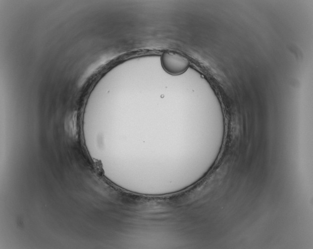 X0000114221262200911061459