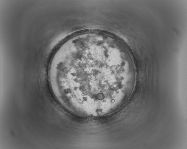 X0000114221263200911061459