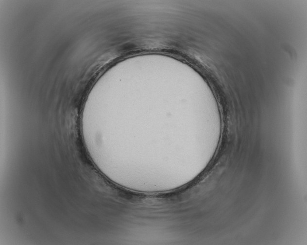 X0000114221265200911061459