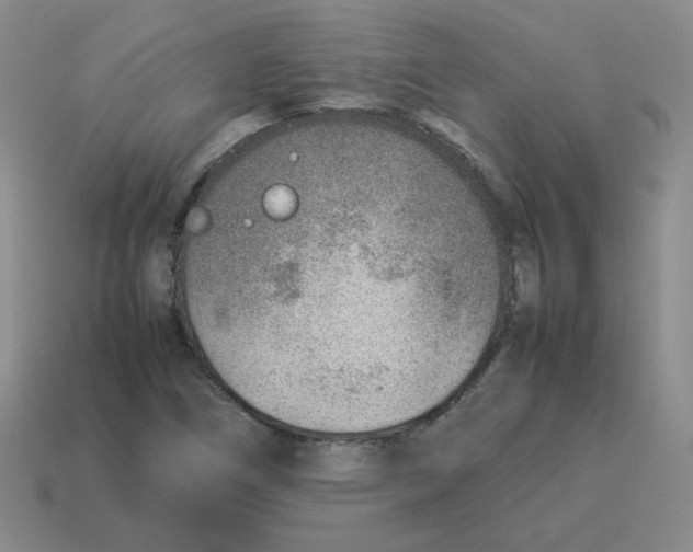 X0000114221266200911061459