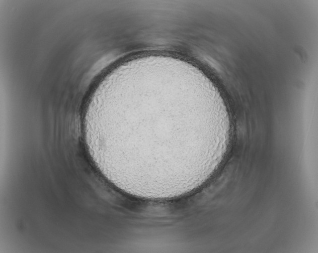 X0000114221267200911061459