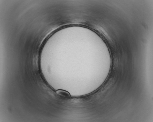 X0000114221268200911061459