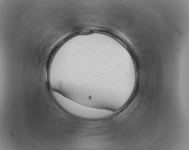 X0000114221269200911061459