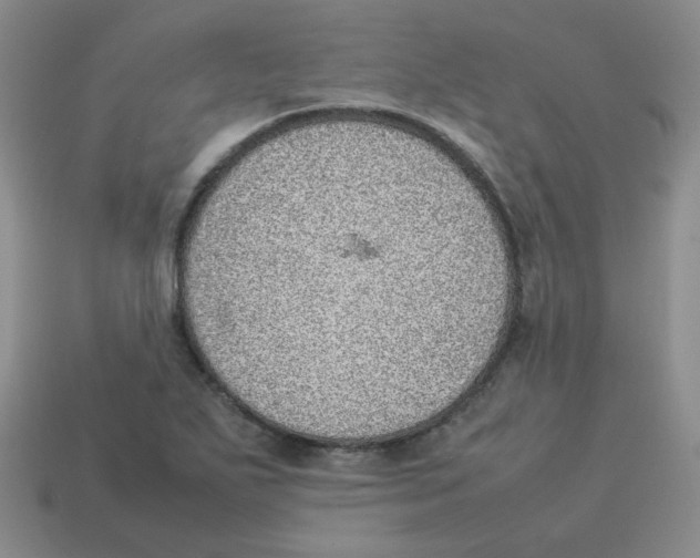 X0000114221271200911061459