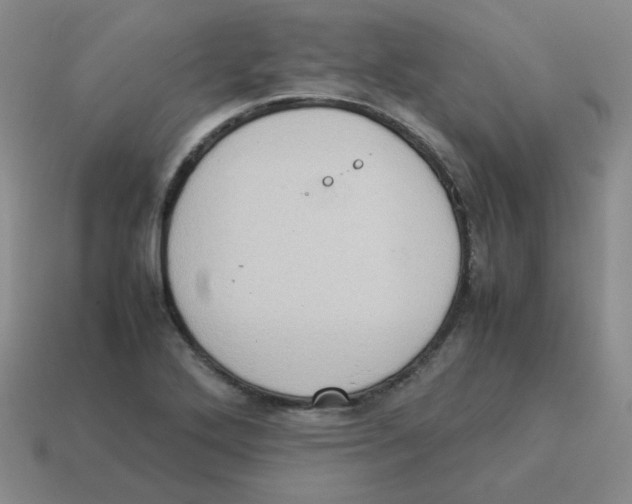 X0000114221272200911061459