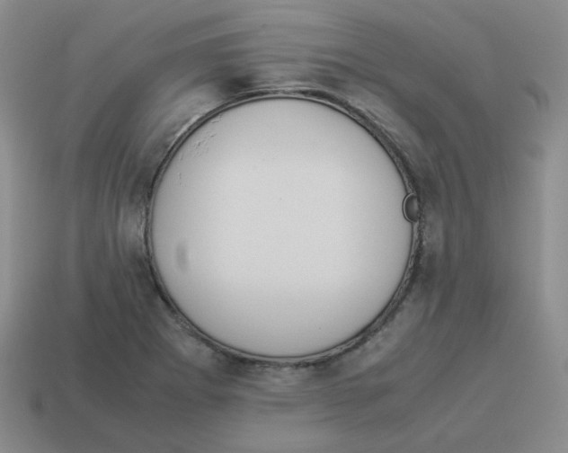 X0000114221273200911061459