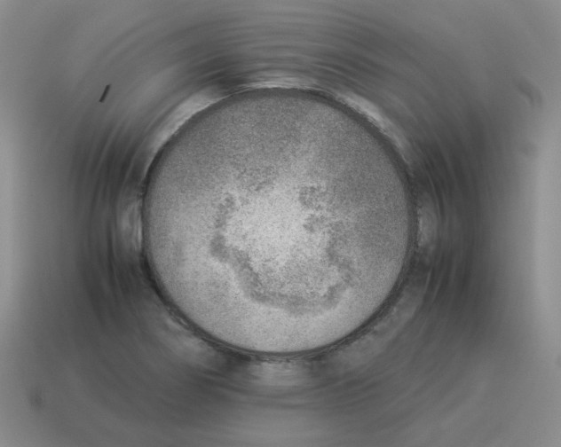 X0000114221274200911061459