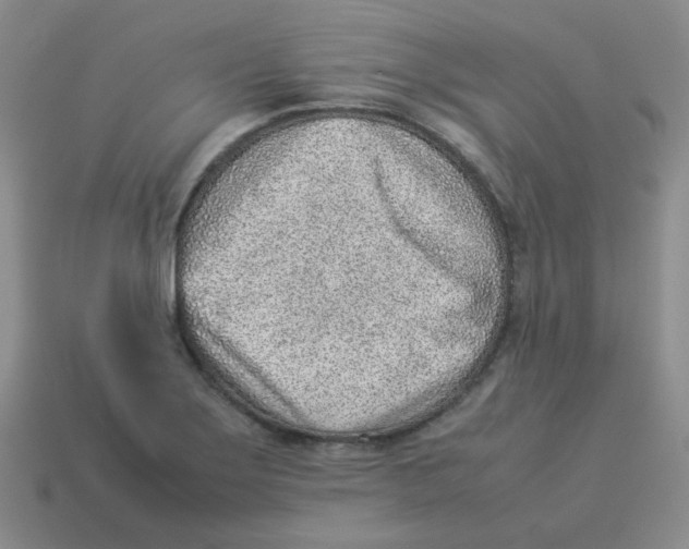 X0000114221275200911061459