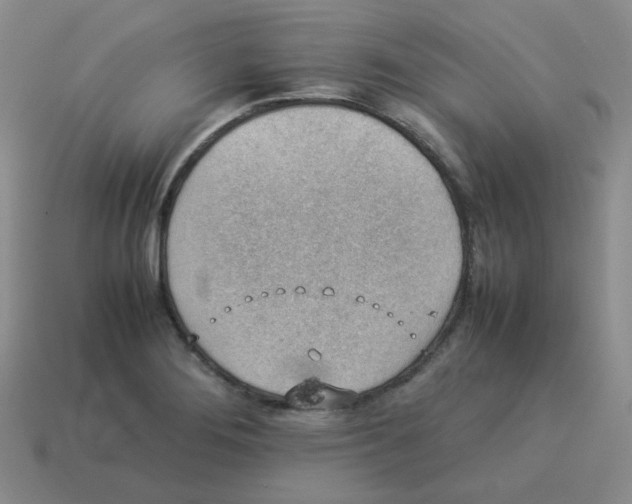 X0000114221276200911061459