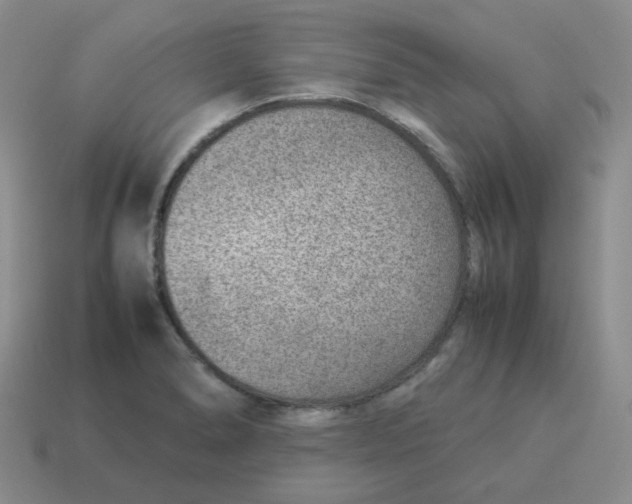 X0000114221278200911061459