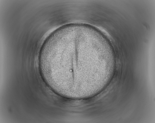 X0000114221279200911061459