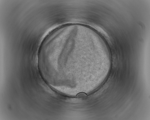 X0000114221280200911061459