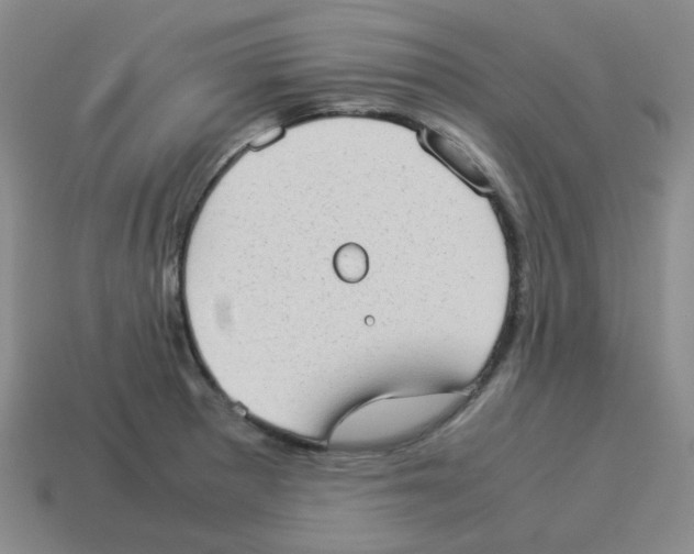 X0000114221281200911061459