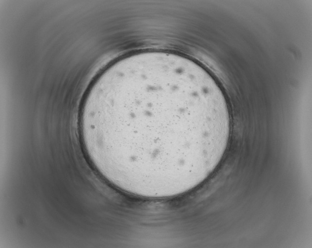 X0000114221283200911061459