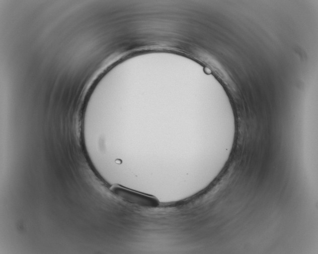 X0000114221284200911061459