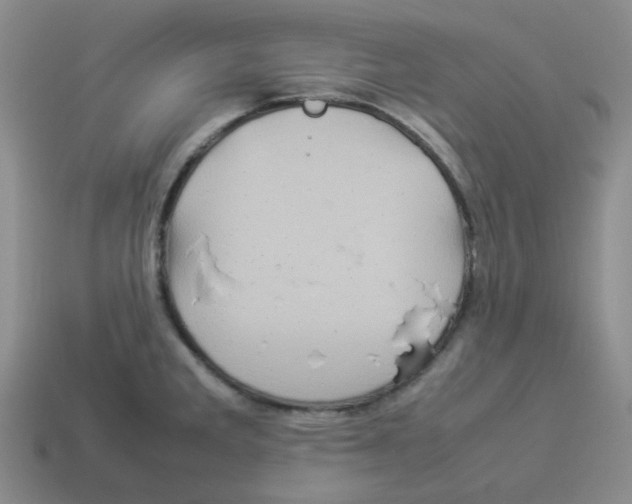 X0000114221285200911061459