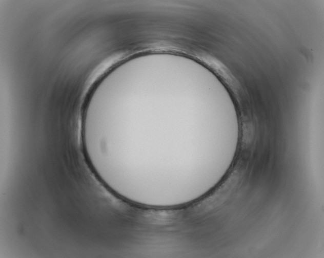 X0000114221286200911061459