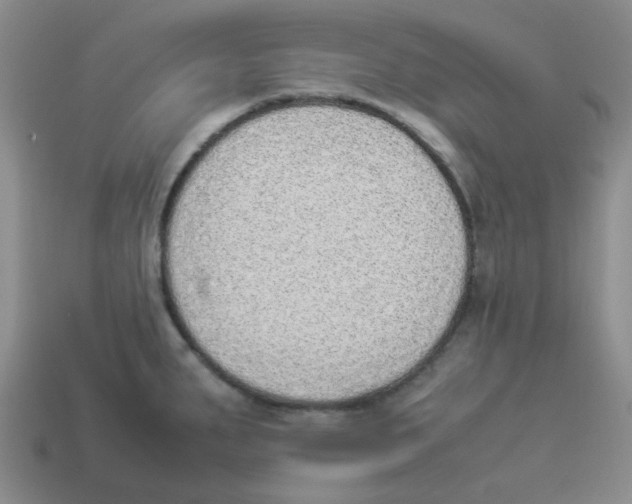 X0000114221287200911061459