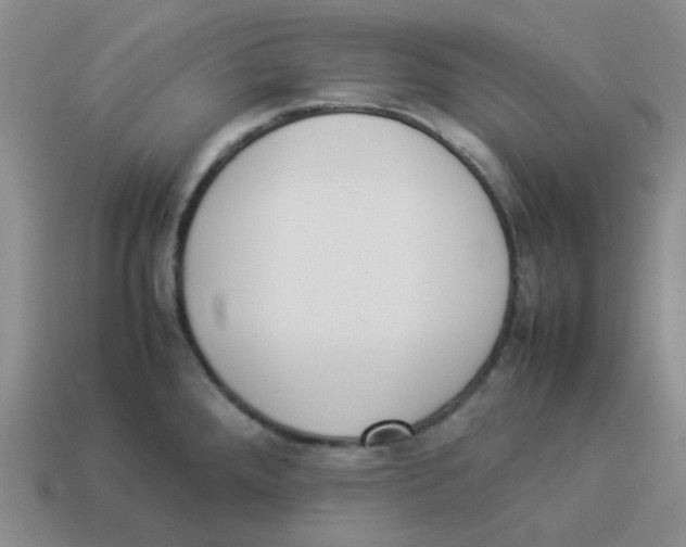 X0000114221288200911061459