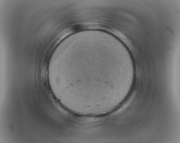 X0000114221289200911061459