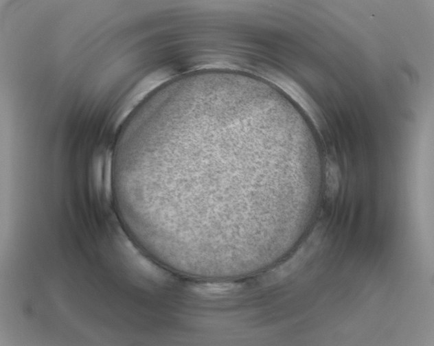 X0000114221290200911061459