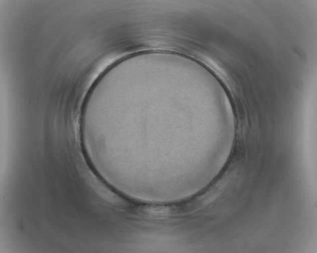 X0000114221291200911061459