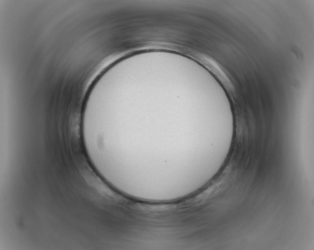 X0000114221292200911061459