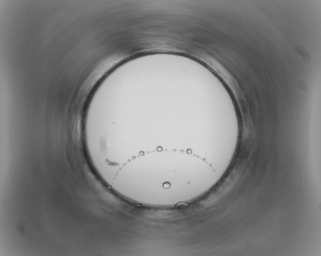 X0000114221293200911061459