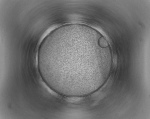 X0000114221294200911061459