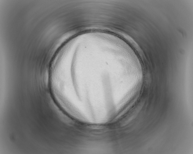 X0000114221295200911061459