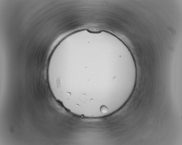 X0000114221296200911061459