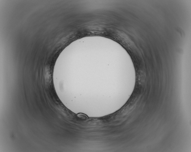 X0000114221298200911061458