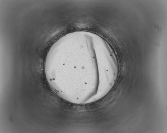 X0000114221301200911061458