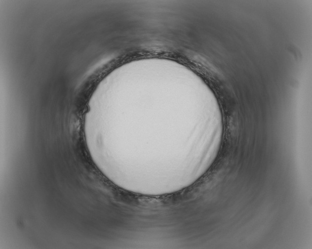 X0000114221302200911061458